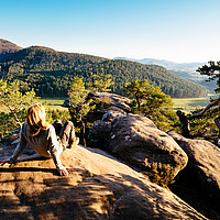 Ausblick im Pfälzerwald